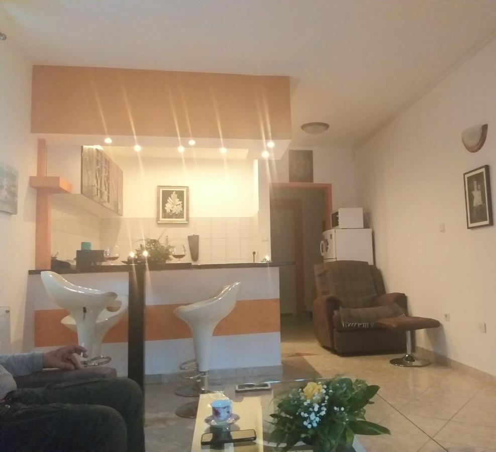 Apartman Nv Apartment Vrnjacka Banja Exterior photo